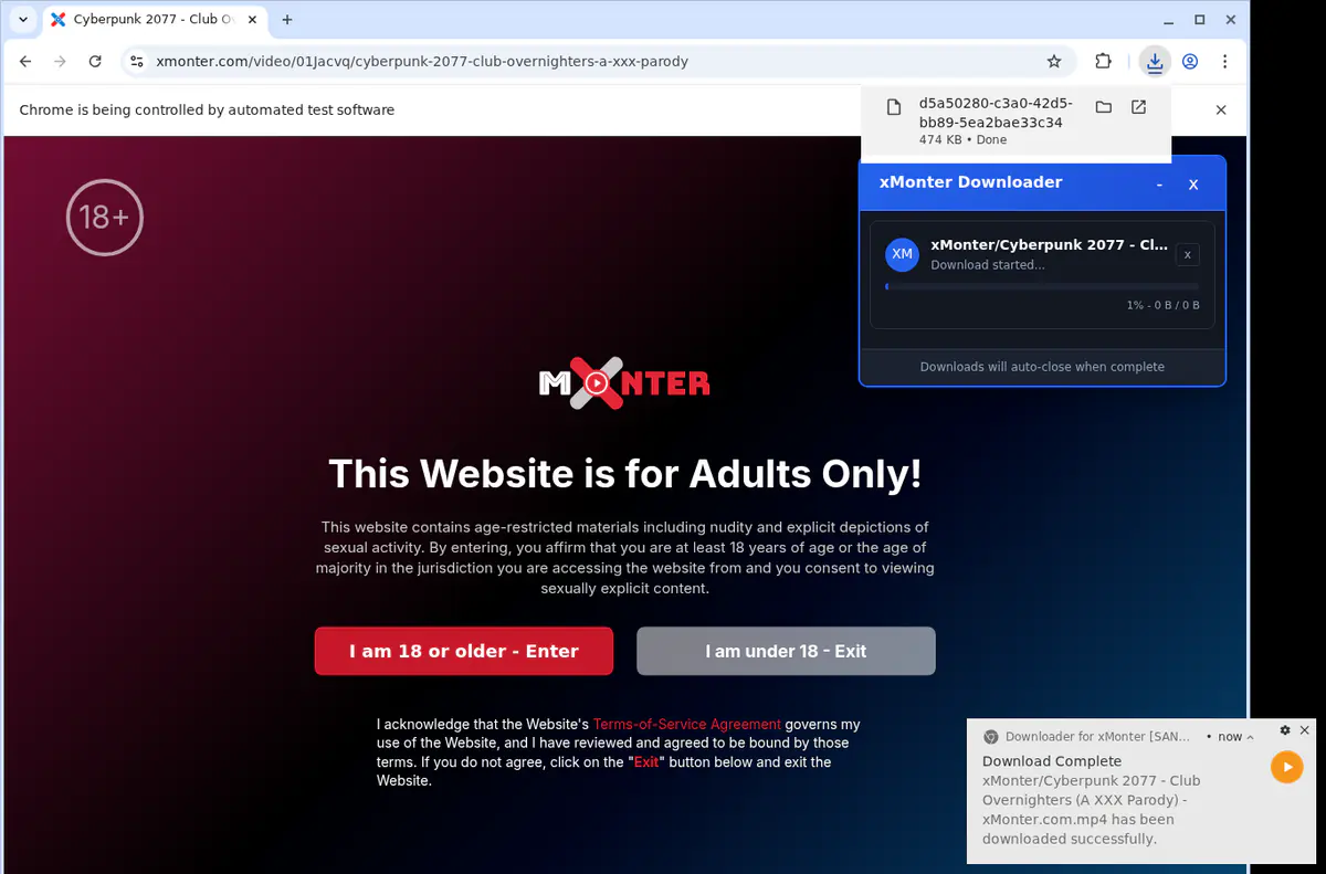 Xmonter Video Downloader browser extension screenshot 2