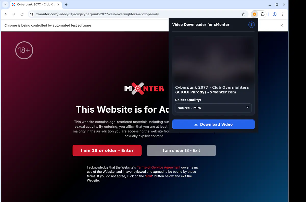 Xmonter Video Downloader browser extension screenshot 3