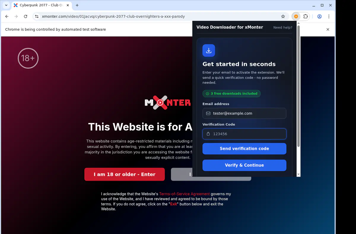 Xmonter Video Downloader browser extension screenshot 4