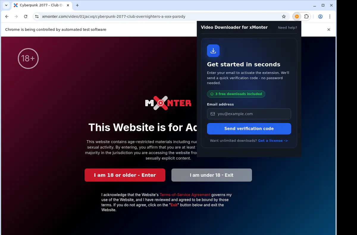 Xmonter Video Downloader browser extension screenshot 5